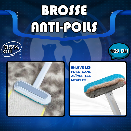 Brosse anti-poils 4 en 1