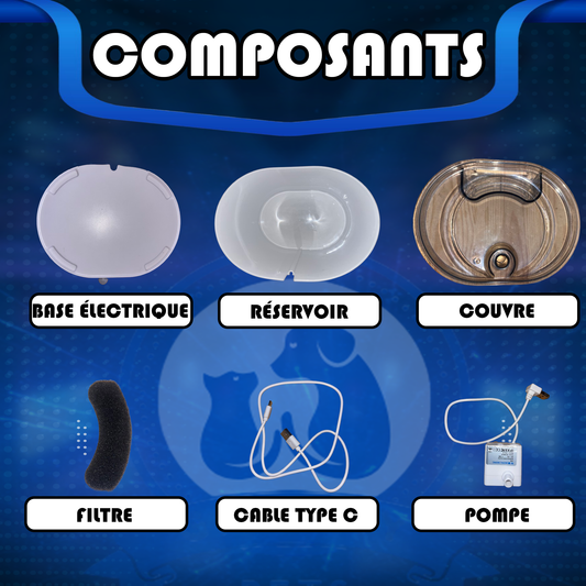 🐾 Fontaine sans fil avec détecteur de mouvement