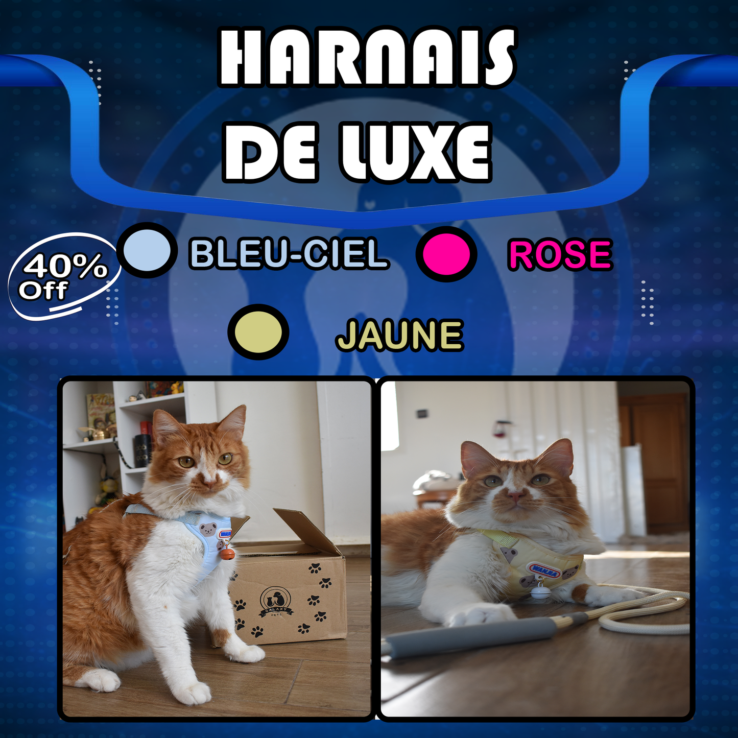 Pack Harnais+ Collier amusant