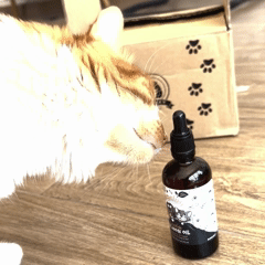 Huile de Saumon Pure Galaxy Pets