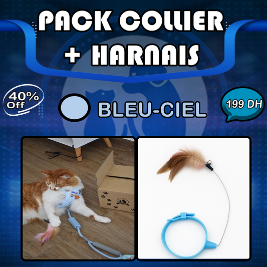 Pack Harnais+ Collier amusant