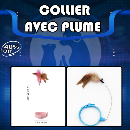 Pack Harnais+ Collier amusant