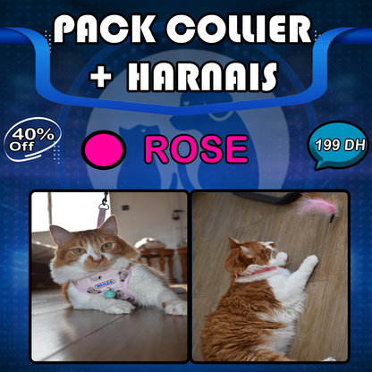 Pack Harnais+ Collier amusant