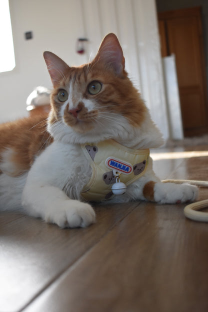 Harnais Confort & Sécurité pour Chat