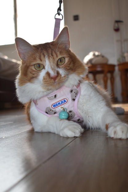 Harnais Confort & Sécurité pour Chat